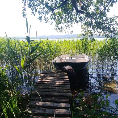 Photo #7335697