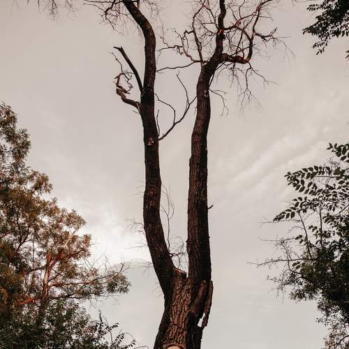 Photo #7335827