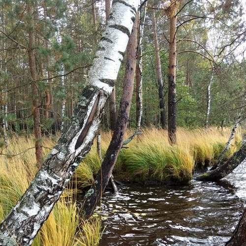 Photo #7335970