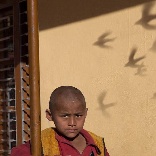 Photo #7335993