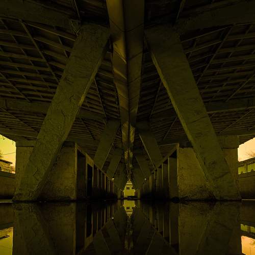 Photo #7336080