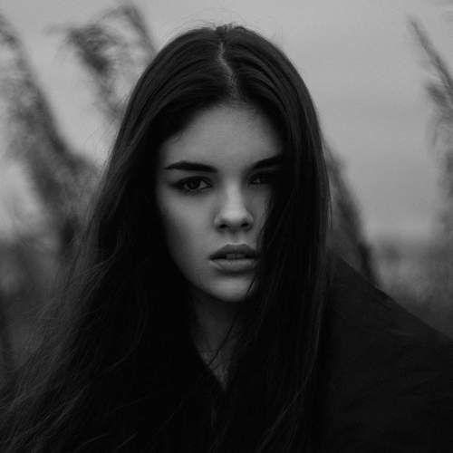 Photo #7336123
