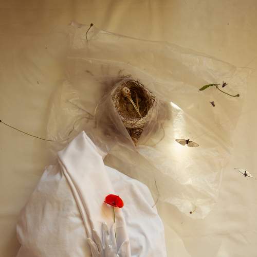 Photo #7336154