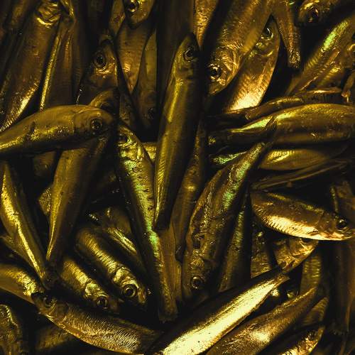 Photo #7336222