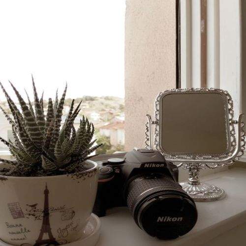 Photo #7336274