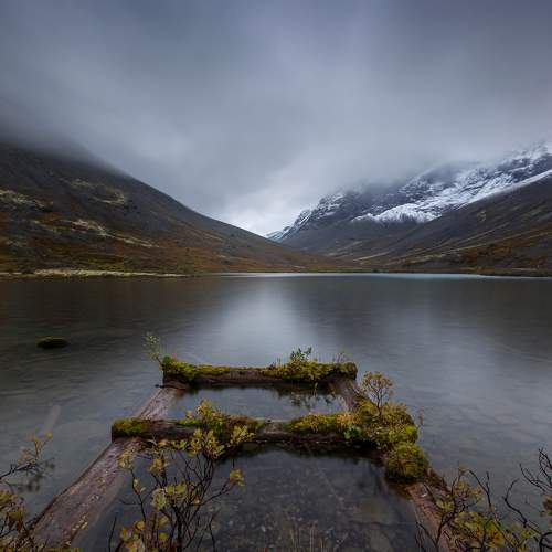 Photo #7336310