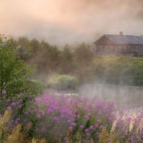 Photo #7336361