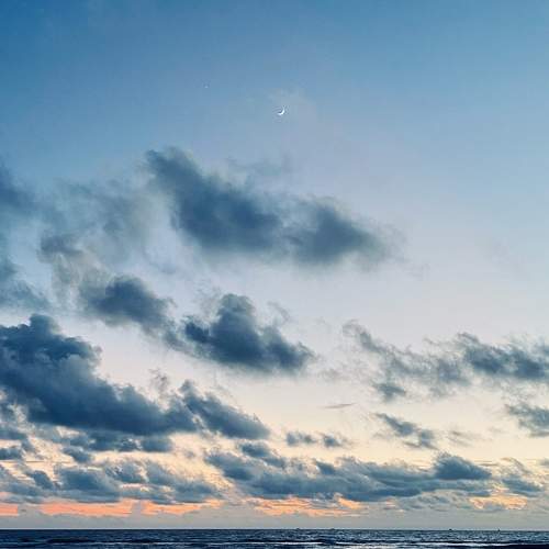 Photo #7336393