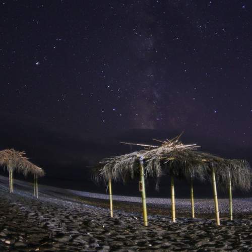Photo #7336420