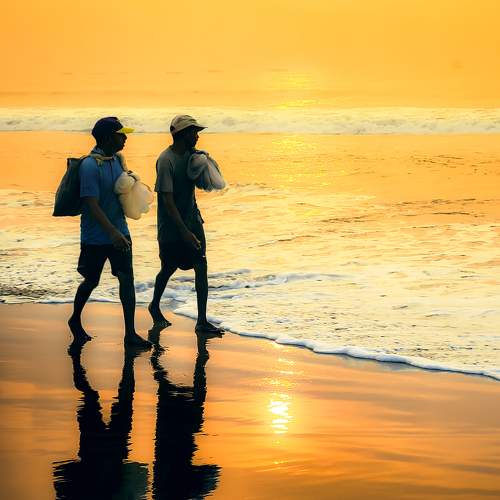 Photo #7336485