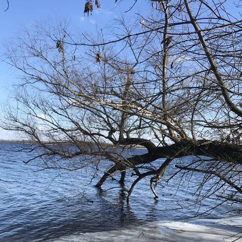 Photo #7336784