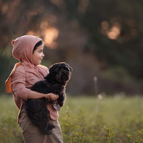 Photo #7336986