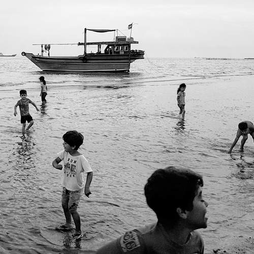 Life in beach