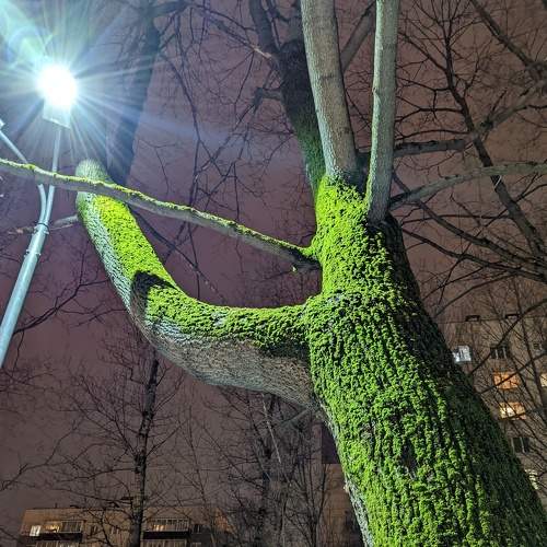 Photo #7337342