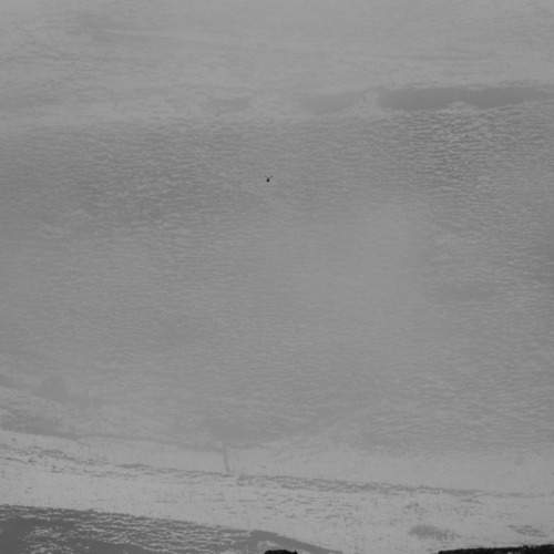 Photo #7337444