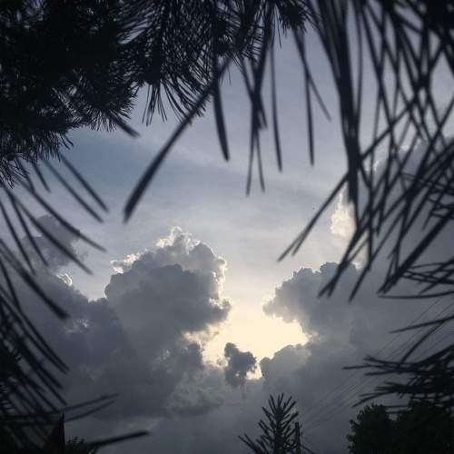 Photo #7337470