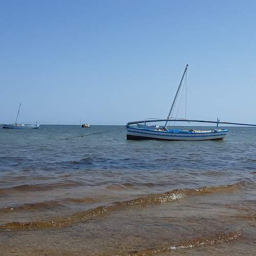 Photo #7337489