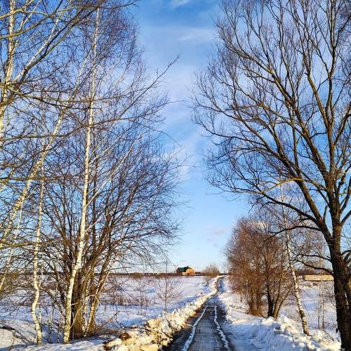 Photo #7337542