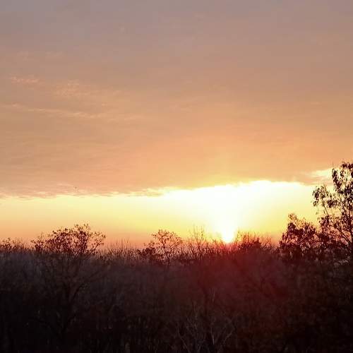 Photo #7337555