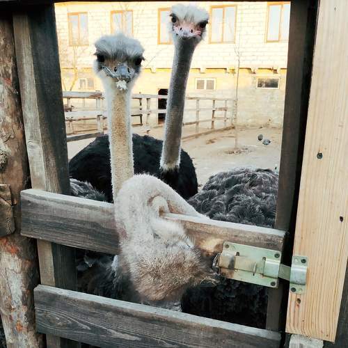 Photo #7337653