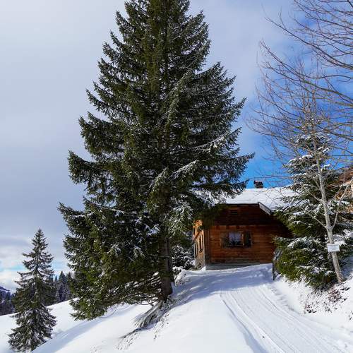 Photo #7337832