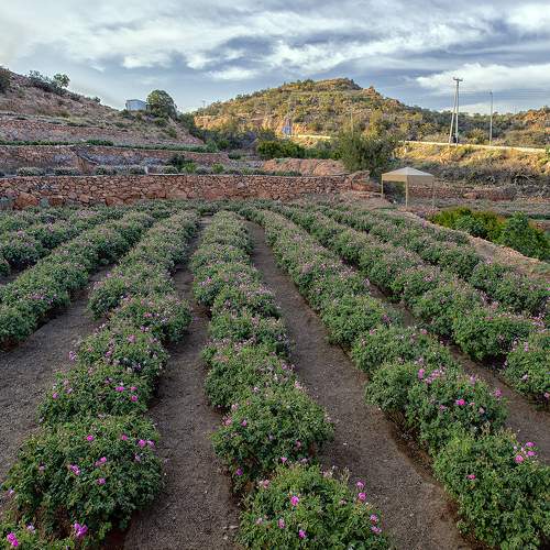 Фотография #7338019