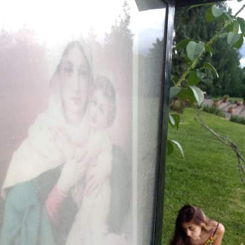 Photo #7338020