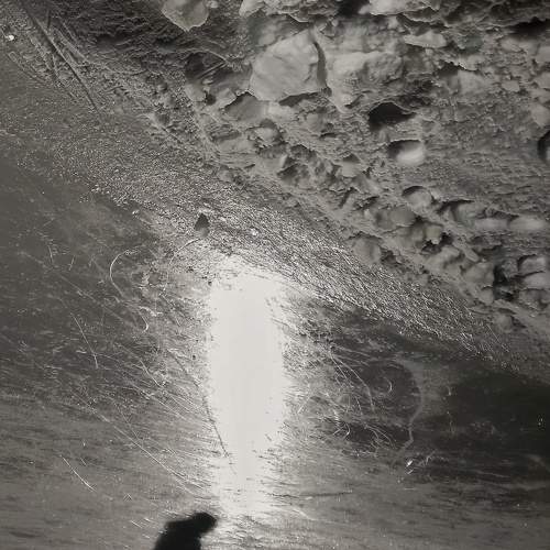 Photo #7338077