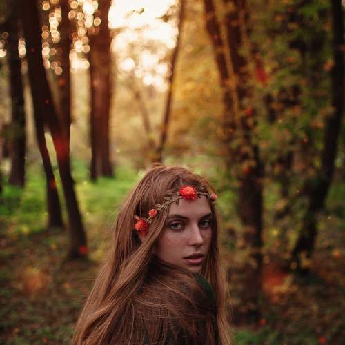 Photo #7338260