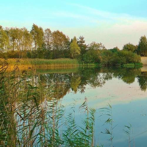 Photo #7338355