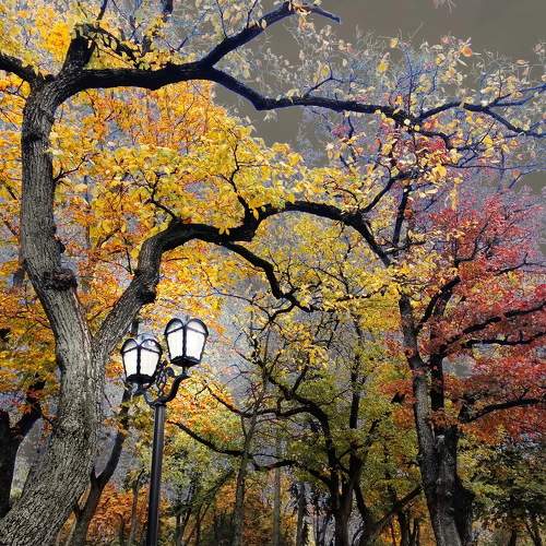 Photo #7338508