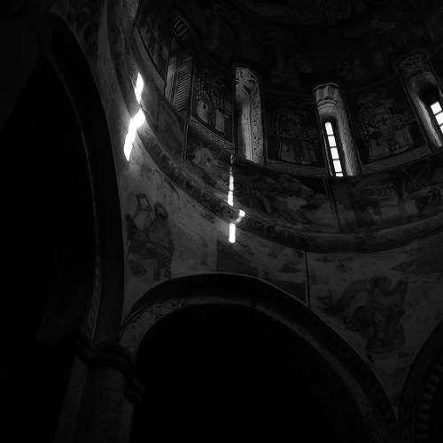 Photo #7338621