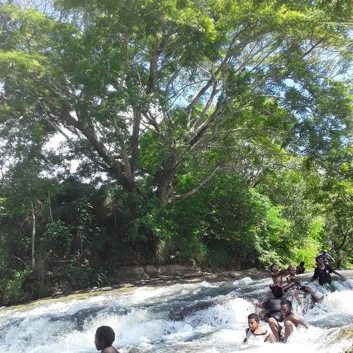 Photo #7338699