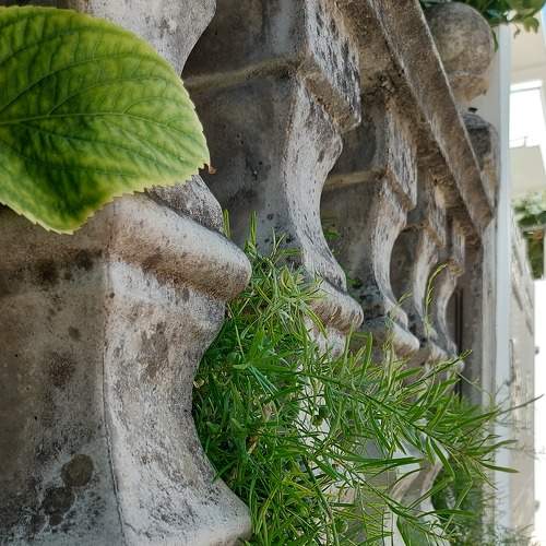 Photo #7338785