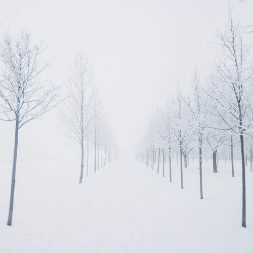 Photo #7338867