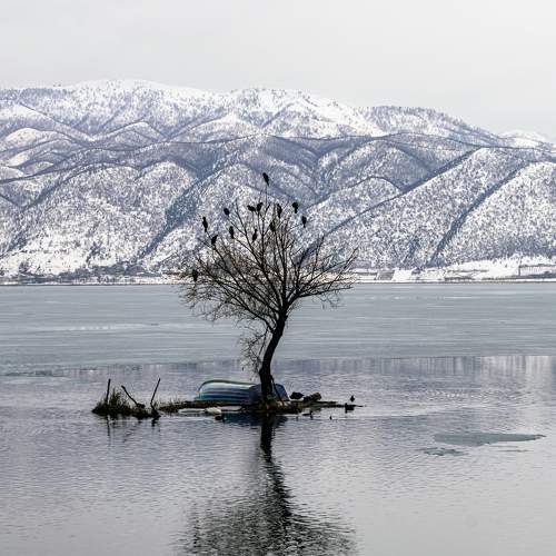 Photo #7338882