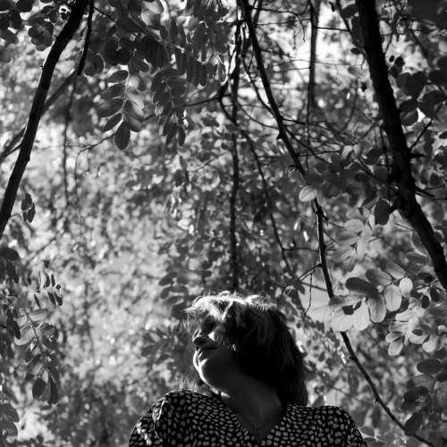 Photo #7339005