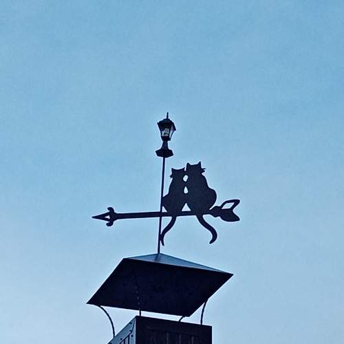 Photo #7339043
