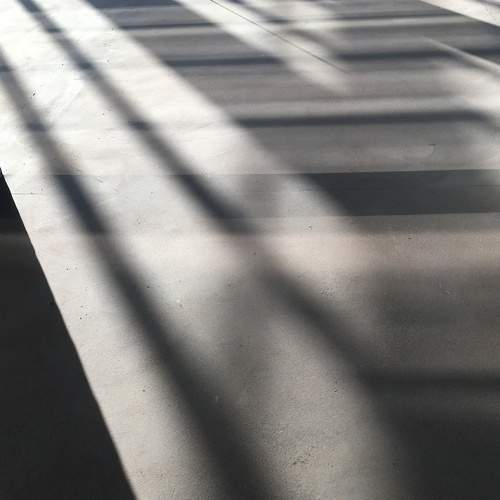 Photo #7339110