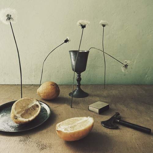 Photo #7339115