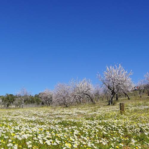 Photo #7339210