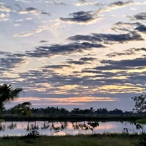 Photo #7339247