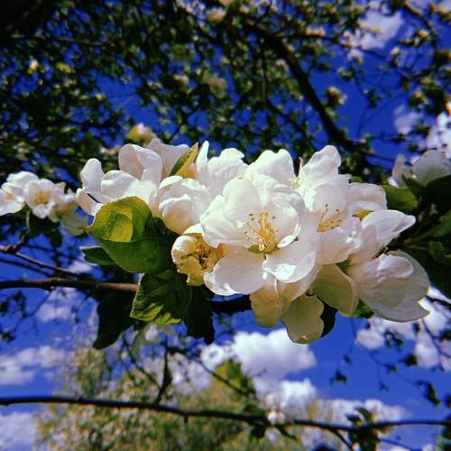 Photo #7339303