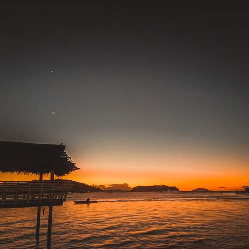 Photo #7339389