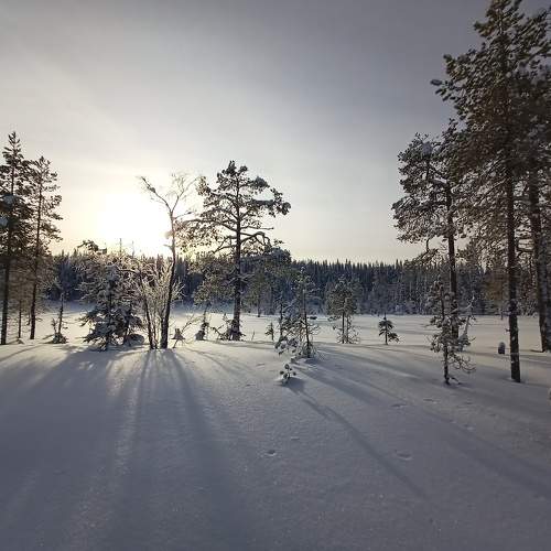 Photo #7339457