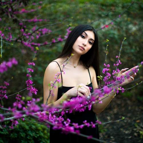 Photo #7339575