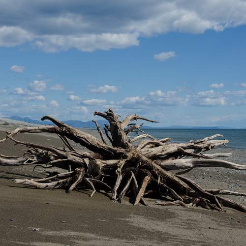 Photo #7339592