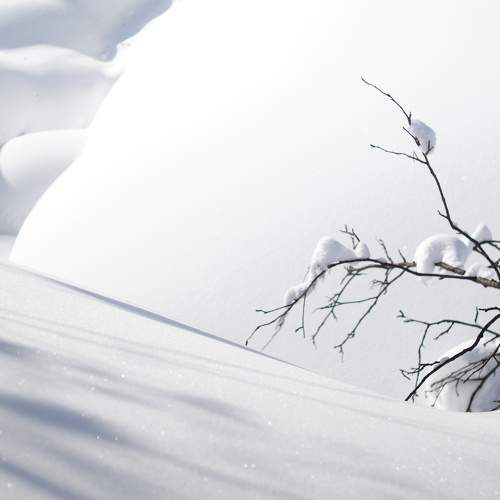 Photo #7339691