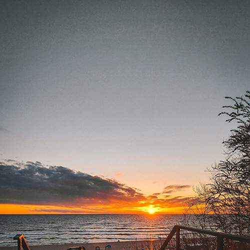 Photo #7339832