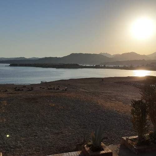 Photo #7339848